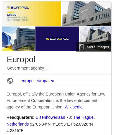 Europol google entry