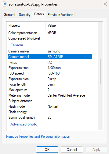 Windows Image Properties